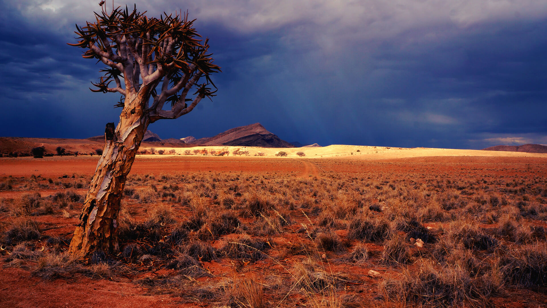 Familienreisen Namibia webook.ch