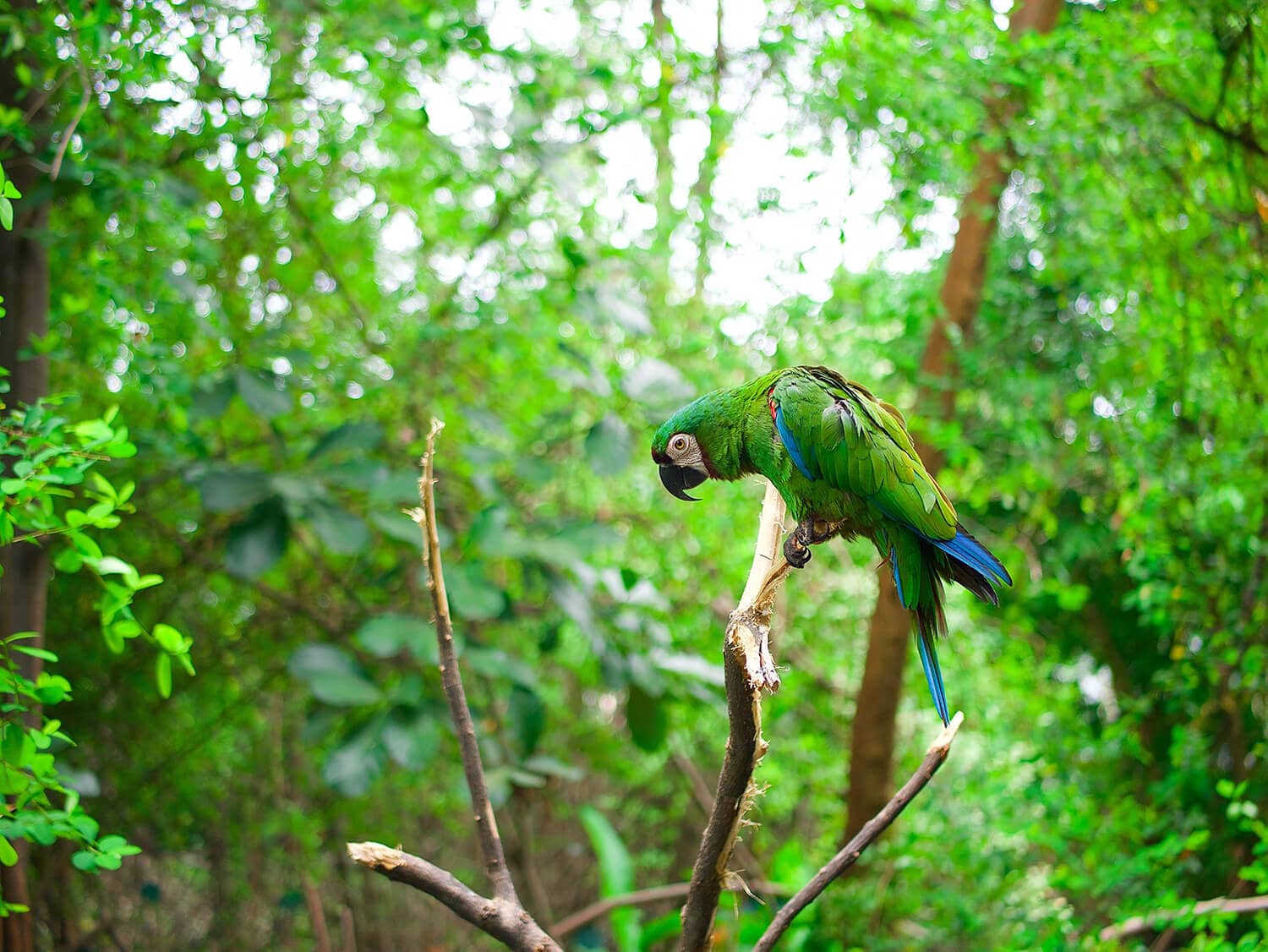 Ecuador Reisetipps Online Reisebüro webook.ch